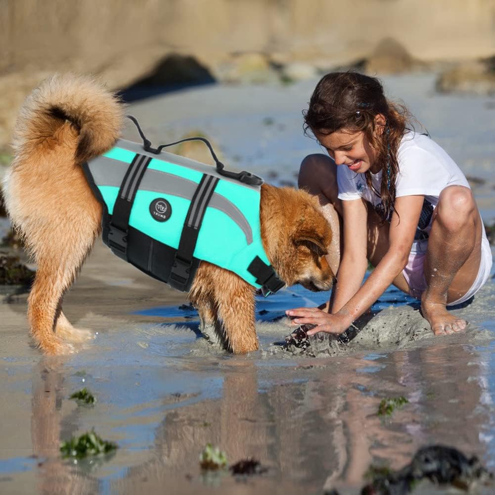 Dog Water Vest, Bright Color Dog Life Jacket for Swimming Boating