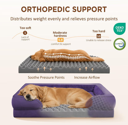 Waterproof Orthopedic Dog Bed for Extra Large Dogs | Supportive Egg Crate Foam XL Pet Bed with Removable Bolster, Dog Couch with Washable Cover & Non-Slip Bottom, 42x30 Inch - Colors B