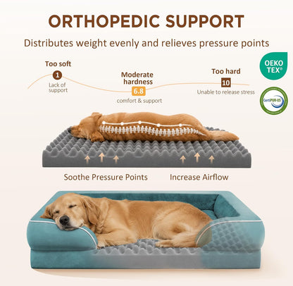 Waterproof Orthopedic Dog Bed for Extra Large Dogs | Supportive Egg Crate Foam XL Pet Bed with Removable Bolster, Dog Couch with Washable Cover & Non-Slip Bottom, 42x30 Inch - Colors B