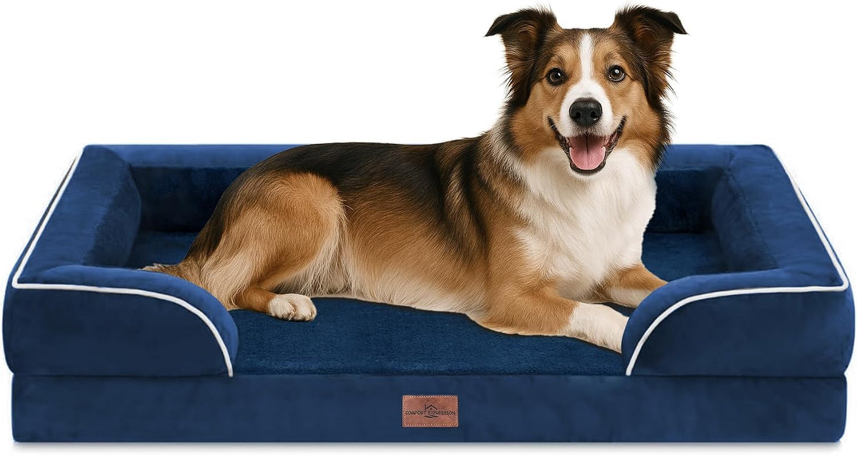Waterproof Orthopedic Dog Bed for Extra Large Dogs | Supportive Egg Crate Foam XL Pet Bed with Removable Bolster, Dog Couch with Washable Cover & Non-Slip Bottom, 42x30 Inch - Colors B