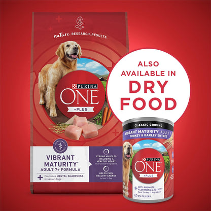 Plus Senior Wet Dog Food, Turkey & Barley, (12) 13 oz Cans