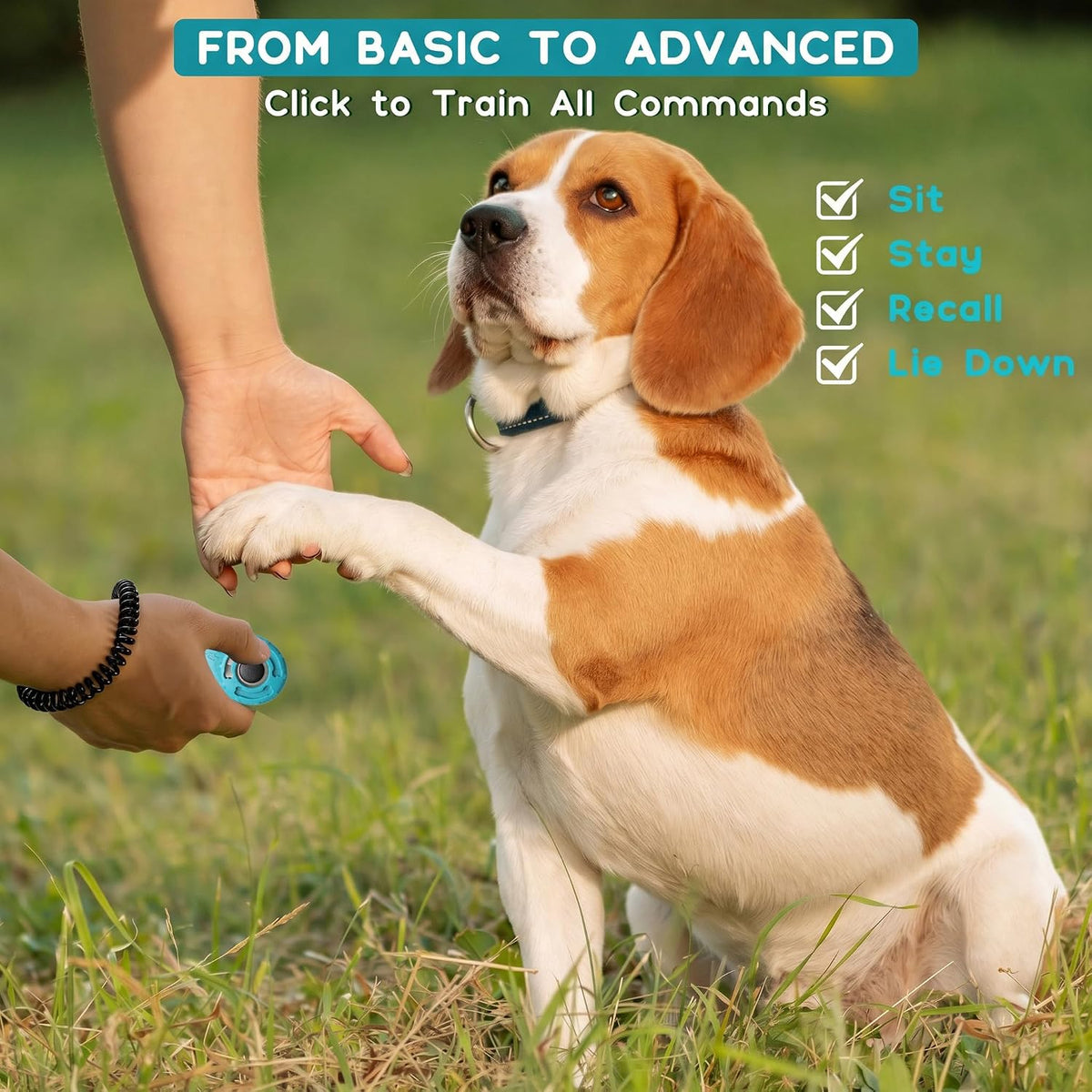 Pet Training Clicker with Wrist Strap - Dog Training Clickers for Puppy, Cat, Potty, Bird, Horse, Pet, Trainer Training Tools, Behavior Aids (Black +Deep Green + Tangerine + Yellow)