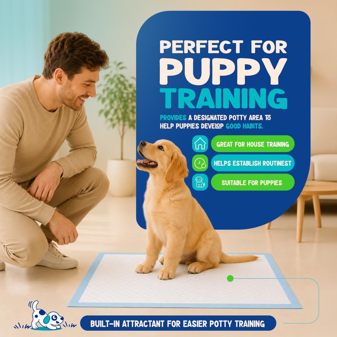 Loofy Pee Pads for Dogs, Training Pads for Dogs, Dog Training Pads, X-Large 35x24, Leak-Proof, Quick-Dry, Super Absorbent Puppy Potty Pads