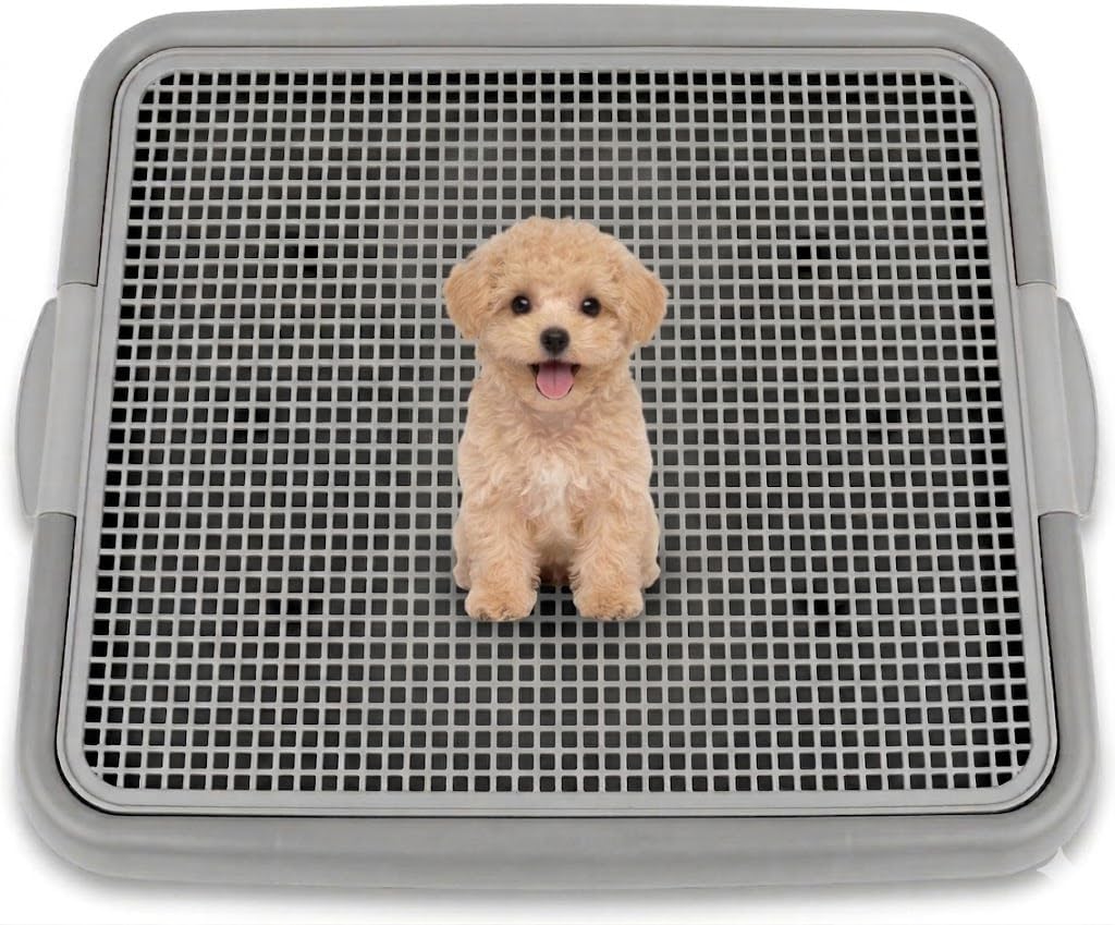 Puppy Potty Tray with Mesh – Dog Pee Pad Holder for Small Dogs & Puppies, Indoor Dog Potty Training Toilet, Plastic Leak-Proof Dog Potty Tray (Small - 20 x 16 in)