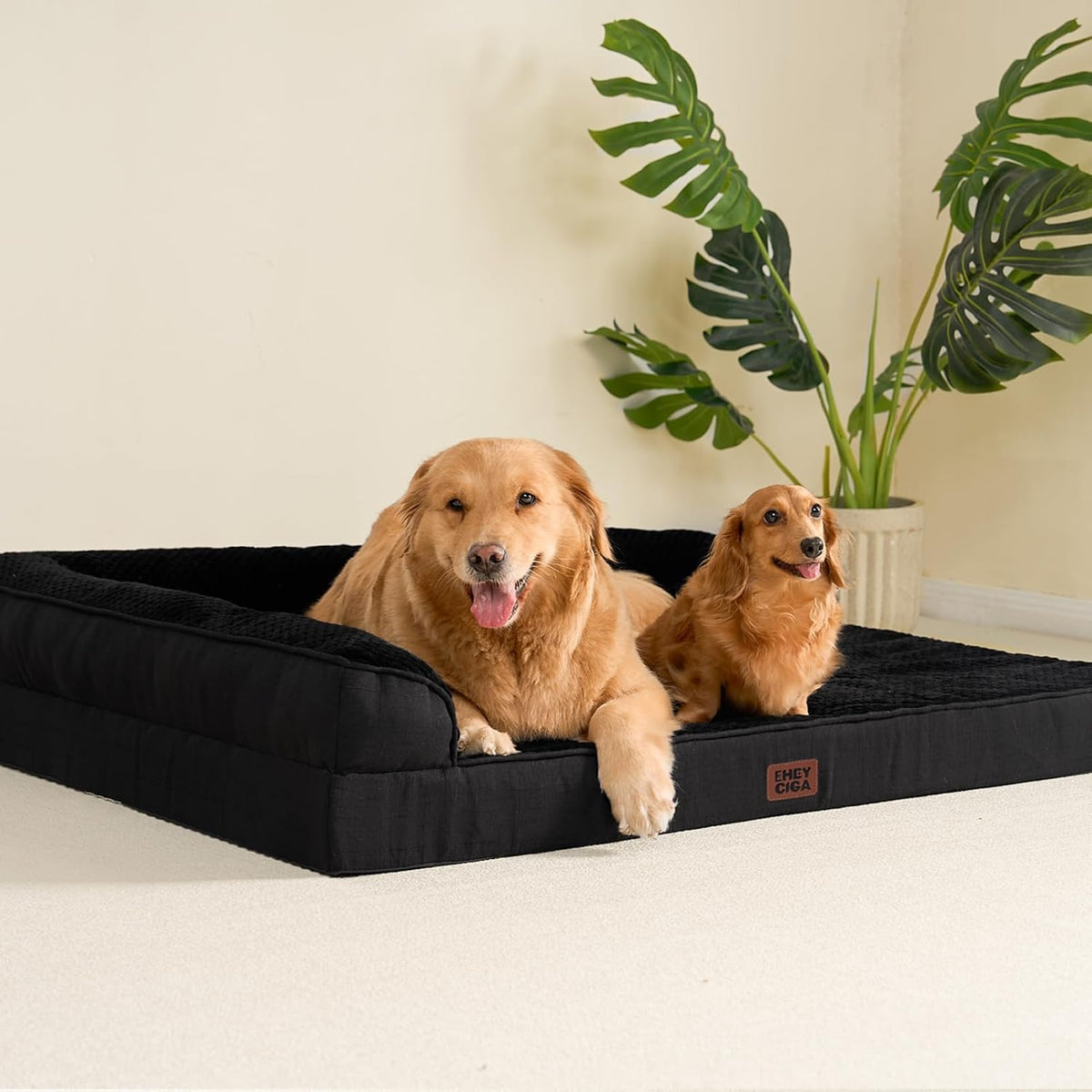 Orthopedic Dog Bed Medium Size, Memory Foam Dog Bed, Grey | Small Dog Sofa with Washable Removable Cover, Waterproof Pet Couch for Crate with Nonskid Bottom, 30x20x6