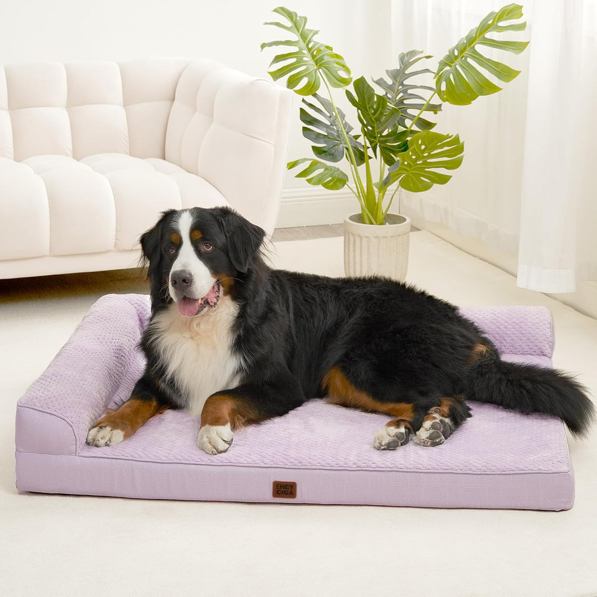 Orthopedic Dog Bed Medium Size, Memory Foam Dog Bed, Grey | Small Dog Sofa with Washable Removable Cover, Waterproof Pet Couch for Crate with Nonskid Bottom, 30x20x6