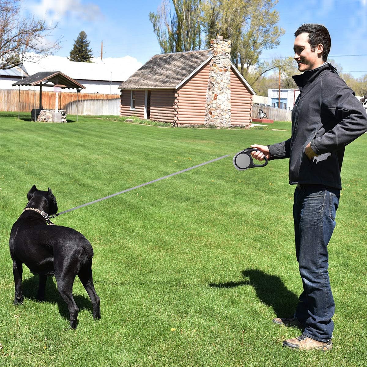 Heavy Duty Retractable Dog Leash-16ft Strong & Durable Walking Leash for S to L Dogs up to 45/115 lbs, Upgraded Lock System, Non Slip Grip, Tangle Free (Purple, Small/Medium)