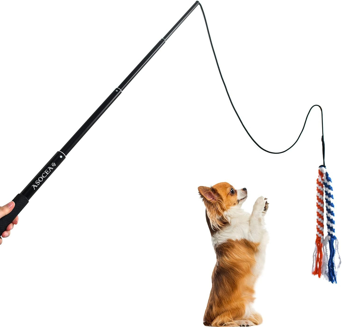 Dog Extendable Teaser Wand Pet Flirt Stick Pole Puppy Chasing Tail Interactive Toy for Small Medium Large Dogs Training Playing Exercise