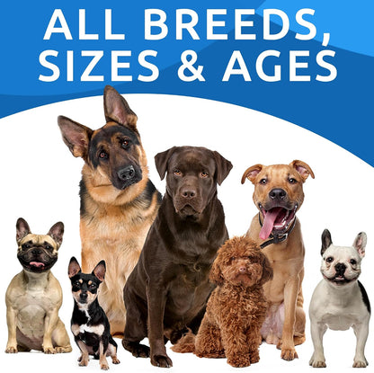 Dog Allergy Relief Chews - Skin Health & Anti-Itch Supplement with Omega-3