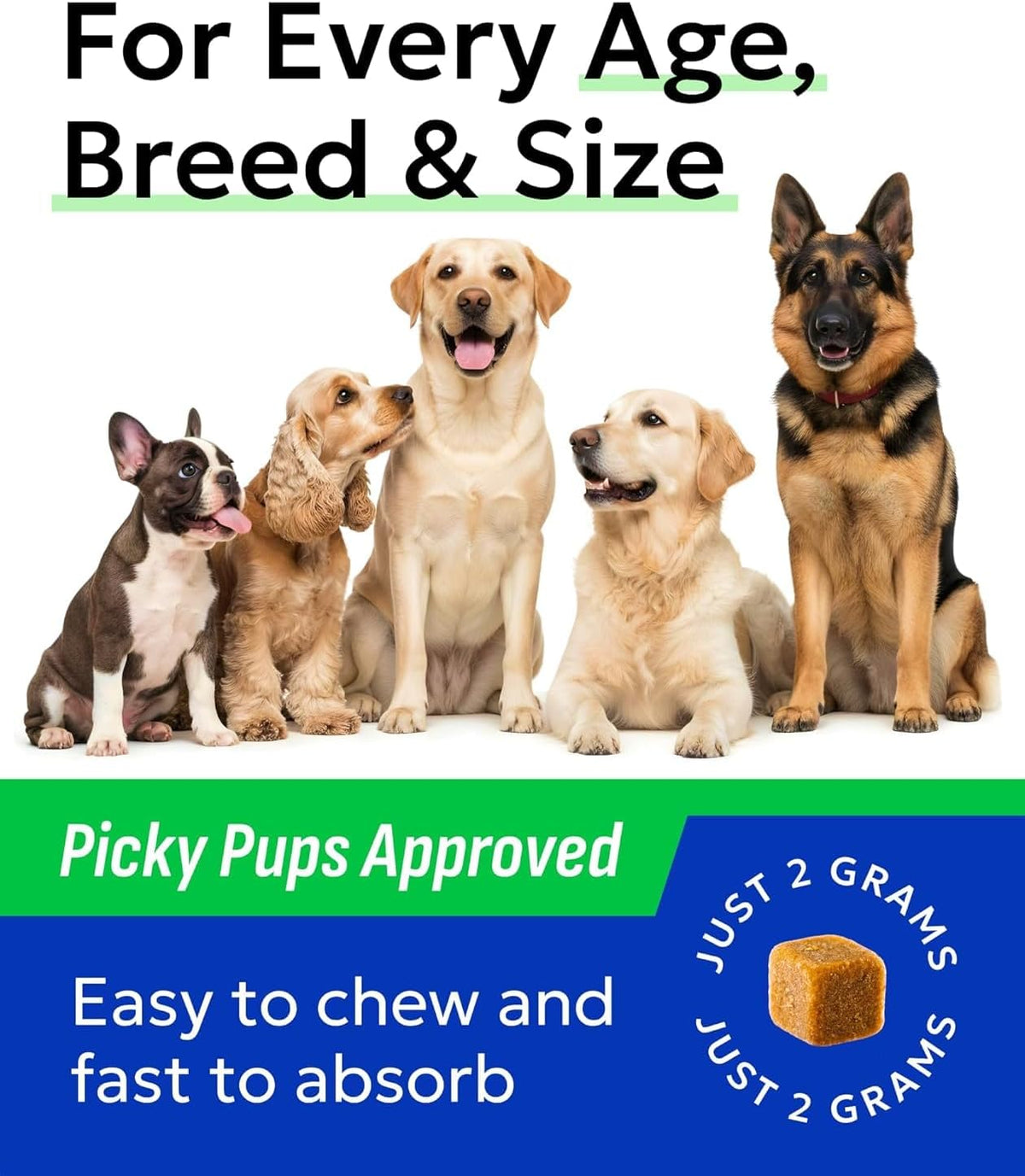 Dog Allergy Relief Chews - Skin Health & Anti-Itch Supplement with Omega-3