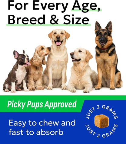 Dog Allergy Relief Chews - Skin Health & Anti-Itch Supplement with Omega-3