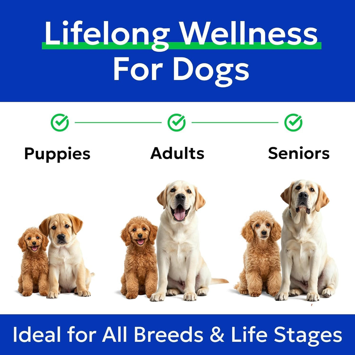 Dog Allergy Relief Chews - Skin Health & Anti-Itch Supplement with Omega-3