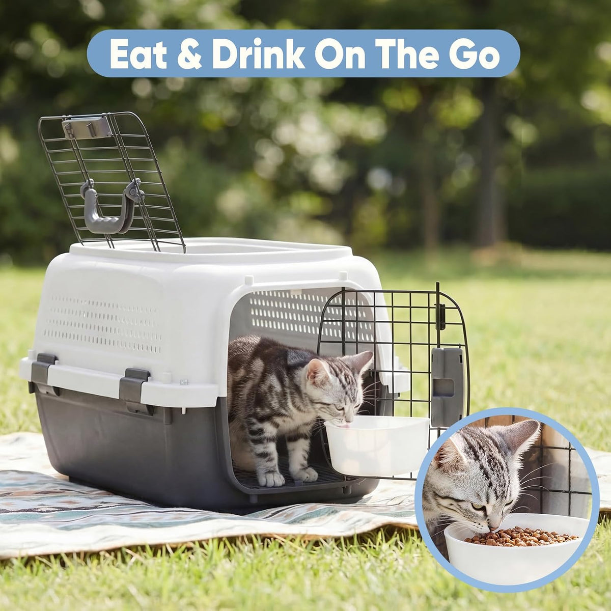DUMOS 23" Hard-Sided Pet Carrier for Small Pets, 2 Door Cat Carrier, Black