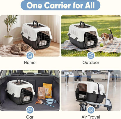 DUMOS 23" Hard-Sided Pet Carrier for Small Pets, 2 Door Cat Carrier, Black
