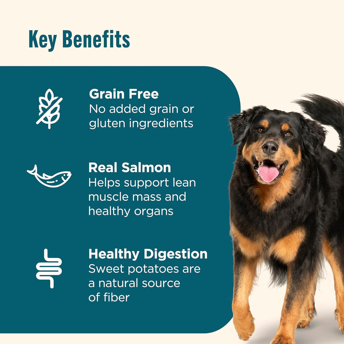 Nutrish Grain Free Salmon Dry Dog Food, 11.5 lb. Bag (Rachael Ray)