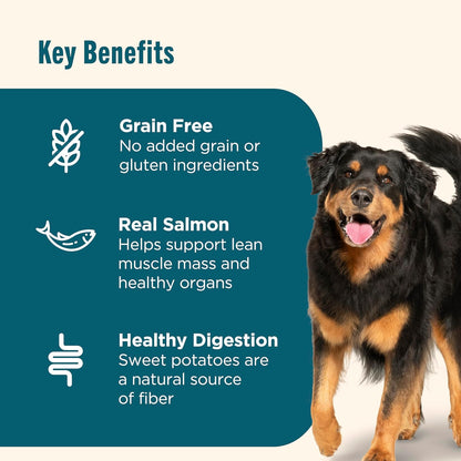 Nutrish Grain Free Salmon Dry Dog Food, 11.5 lb. Bag (Rachael Ray)