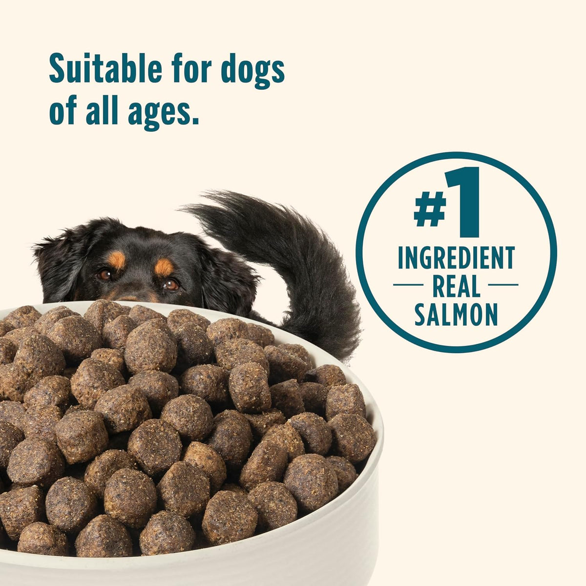 Nutrish Grain Free Salmon Dry Dog Food, 11.5 lb. Bag (Rachael Ray)