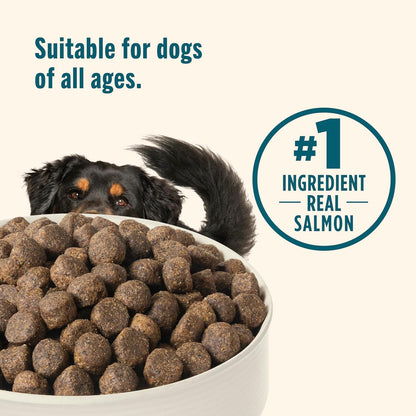 Nutrish Grain Free Salmon Dry Dog Food, 11.5 lb. Bag (Rachael Ray)