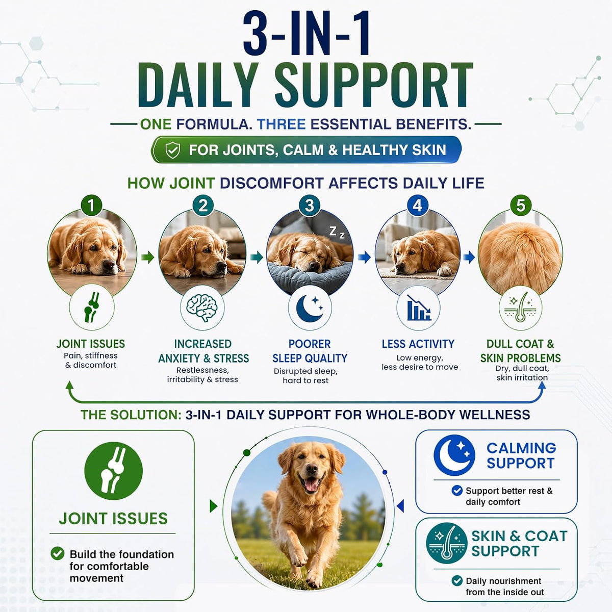 Hip and Joint Supplement for Dogs 200ct, Calming & Skin Support All dogs