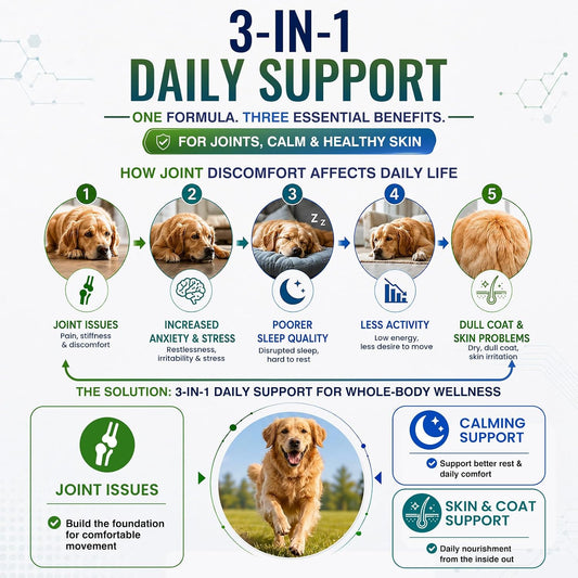 Hip and Joint Supplement for Dogs 200ct, Calming & Skin Support All dogs