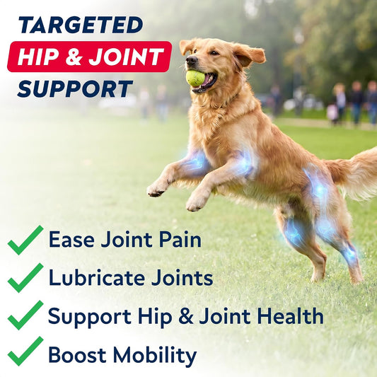 Advanced Hip Joint Supplement for Dogs, Chondroitin Joint Chews