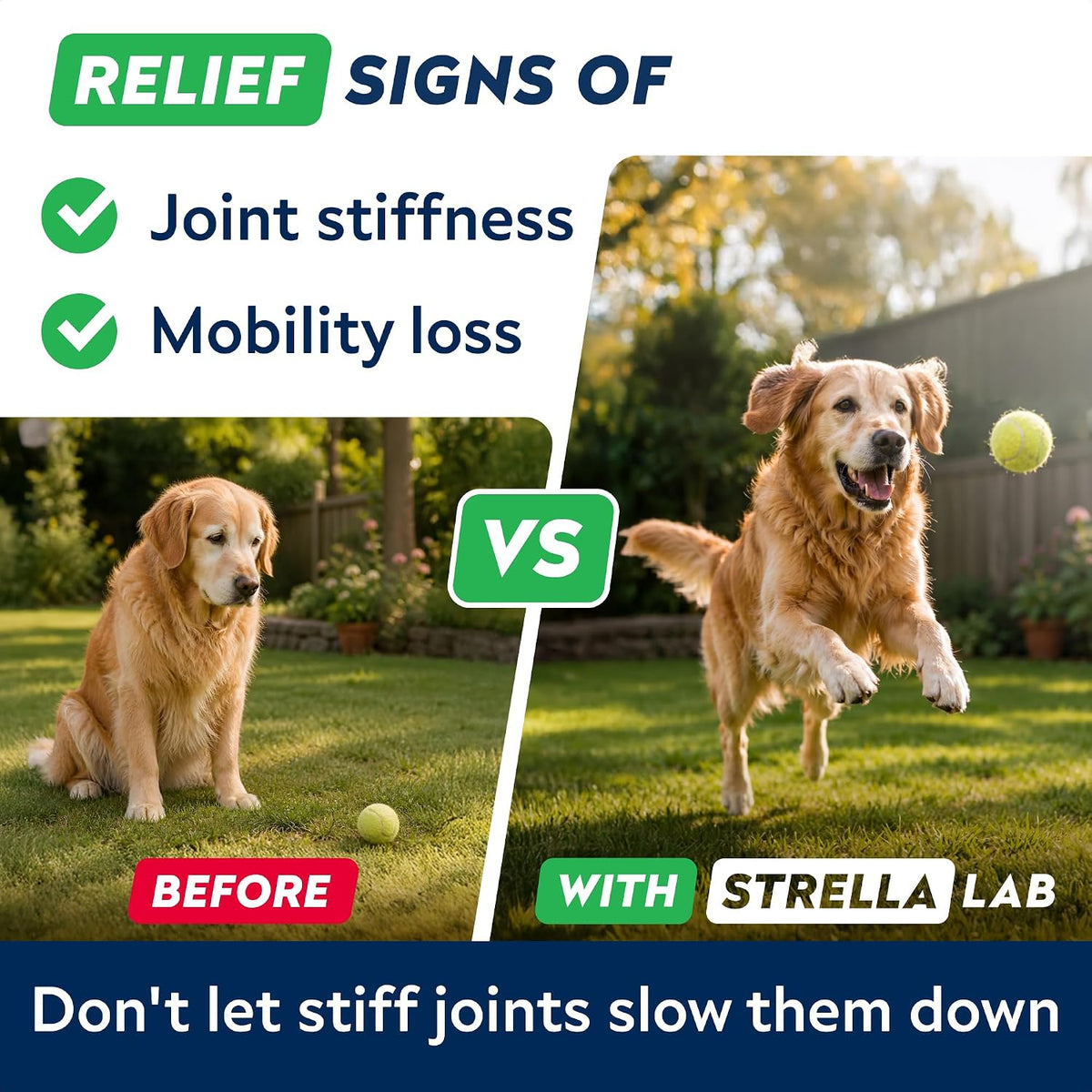 Advanced Hip Joint Supplement for Dogs, Chondroitin Joint Chews