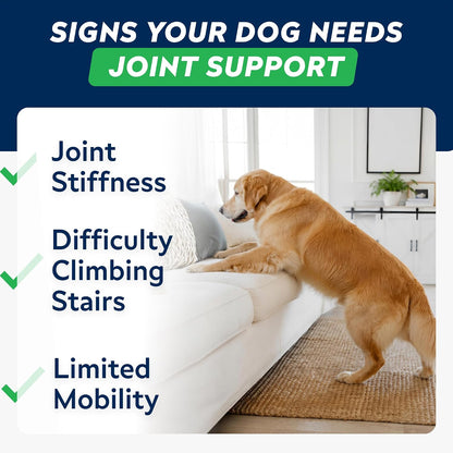 Advanced Hip Joint Supplement for Dogs, Chondroitin Joint Chews