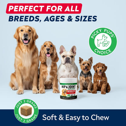 Advanced Hip Joint Supplement for Dogs, Chondroitin Joint Chews