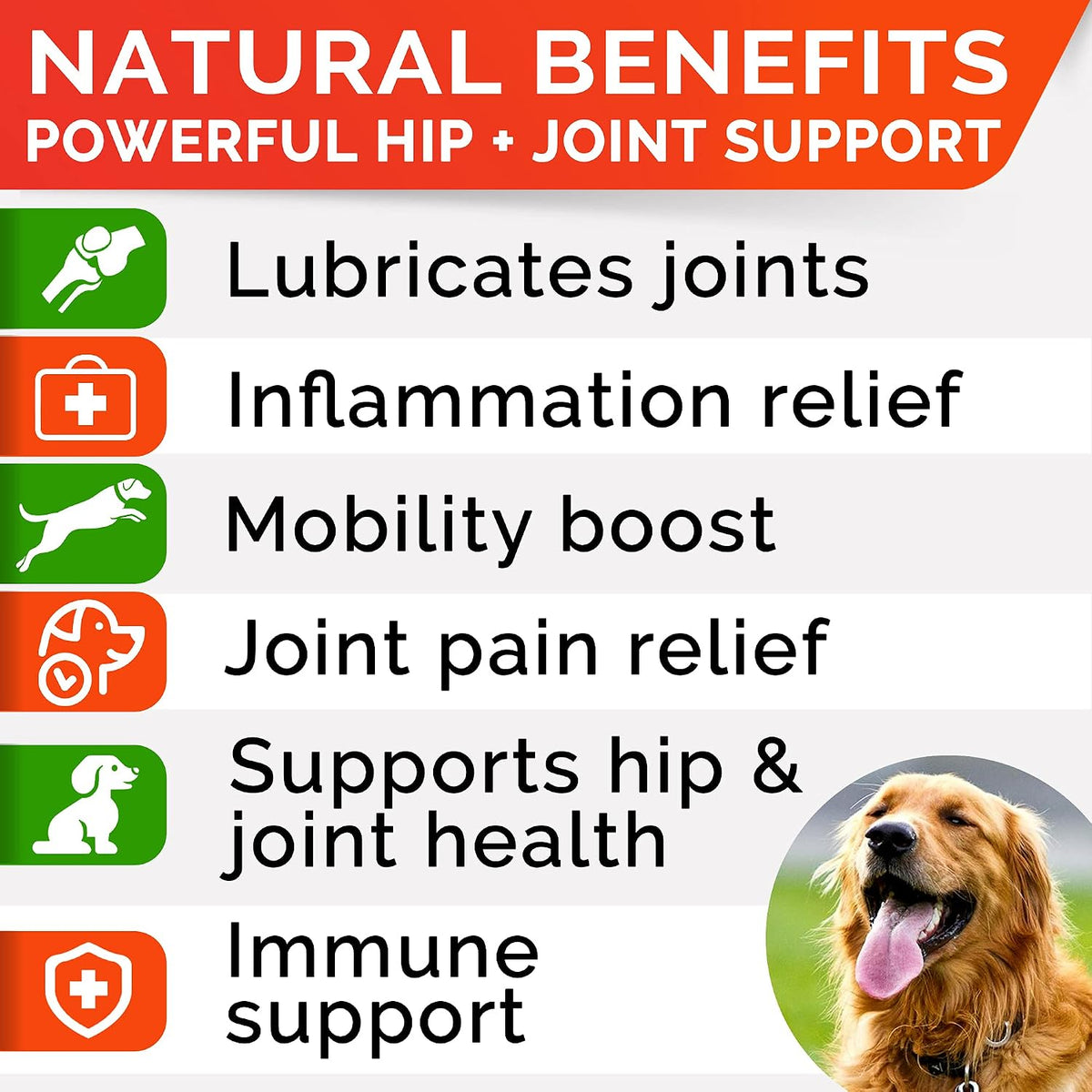 Advanced Hip Joint Supplement for Dogs, Chondroitin Joint Chews