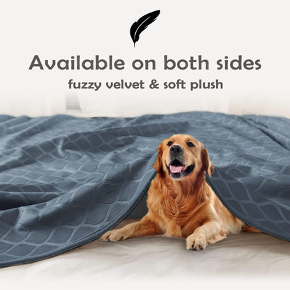 fuguitex Waterproof Dog Blanket Bed Cover Dog Crystal Velvet Moroccan Fuzzy Cozy Plush Pet Blanket Throw Blanket for Couch Sofa(40 * 60 inch, Cream+Beige)