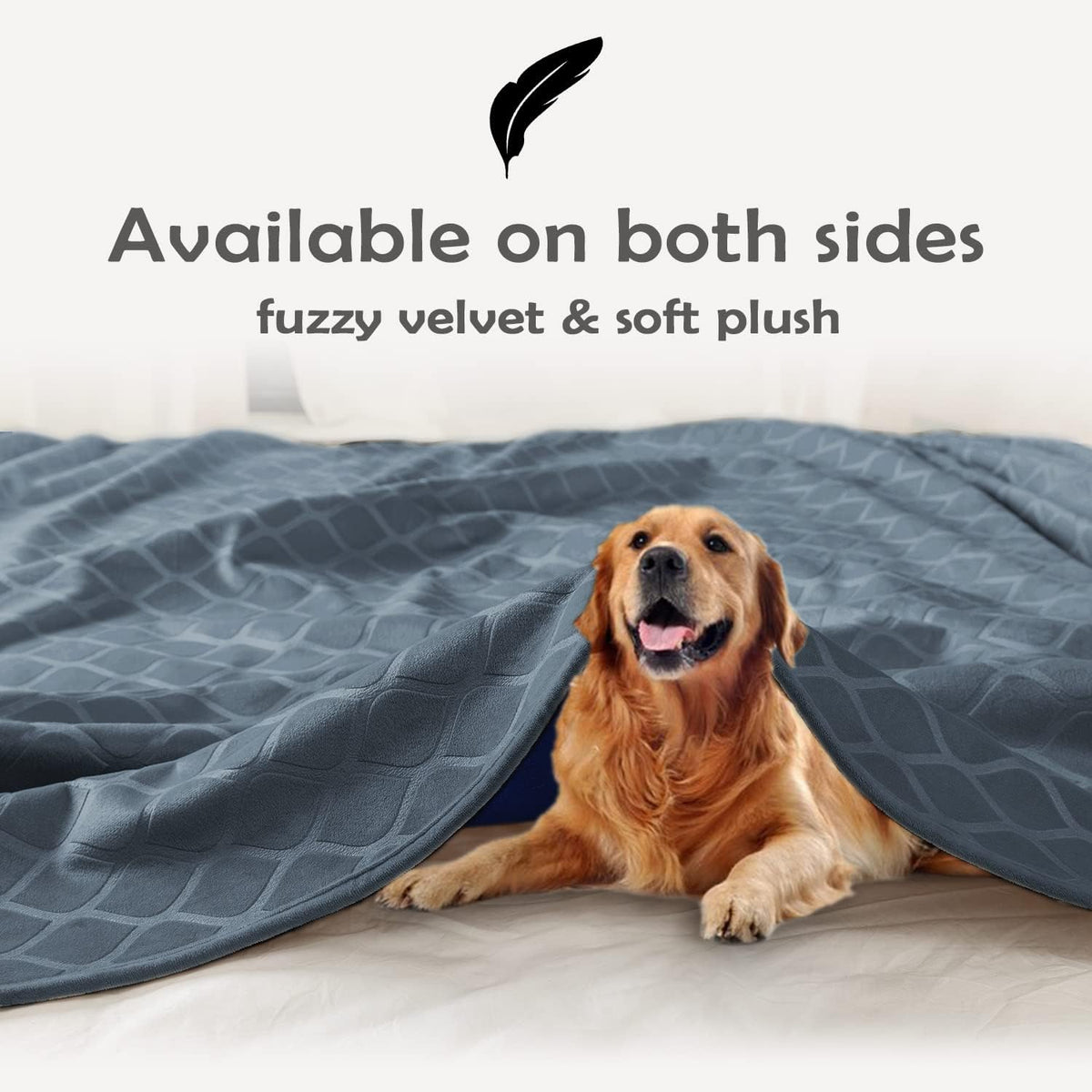 fuguitex Waterproof Dog Blanket Bed Cover Dog Crystal Velvet Moroccan Fuzzy Cozy Plush Pet Blanket Throw Blanket for Couch Sofa(40 * 60 inch, Cream+Beige)