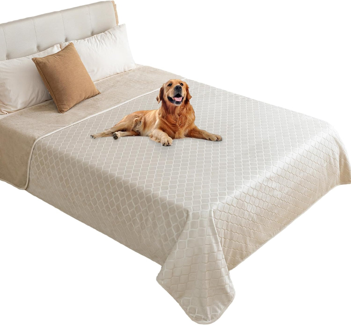 fuguitex Waterproof Dog Blanket Bed Cover Dog Crystal Velvet Moroccan Fuzzy Cozy Plush Pet Blanket Throw Blanket for Couch Sofa(40 * 60 inch, Cream+Beige)