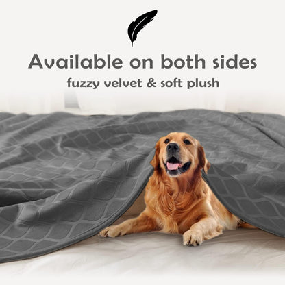 fuguitex Waterproof Dog Blanket Bed Cover Dog Crystal Velvet Moroccan Fuzzy Cozy Plush Pet Blanket Throw Blanket for Couch Sofa(40 * 60 inch, Cream+Beige)