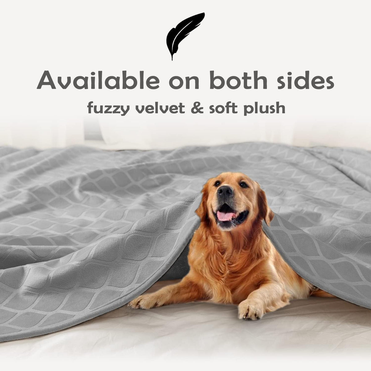 fuguitex Waterproof Dog Blanket Bed Cover Dog Crystal Velvet Moroccan Fuzzy Cozy Plush Pet Blanket Throw Blanket for Couch Sofa(40 * 60 inch, Cream+Beige)