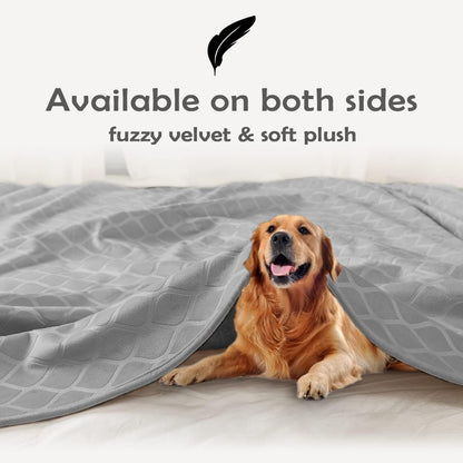fuguitex Waterproof Dog Blanket Bed Cover Dog Crystal Velvet Moroccan Fuzzy Cozy Plush Pet Blanket Throw Blanket for Couch Sofa(40 * 60 inch, Cream+Beige)