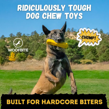 Indestructible Stick Dog Toy - Lifetime Replacement - Durable Chew Toy for Aggressive Chewers - Safe Non-Toxic Natural Rubber - Chew Tug & Fetch - Tough, Heavy Duty - Med/Large Breed, 8”x2”