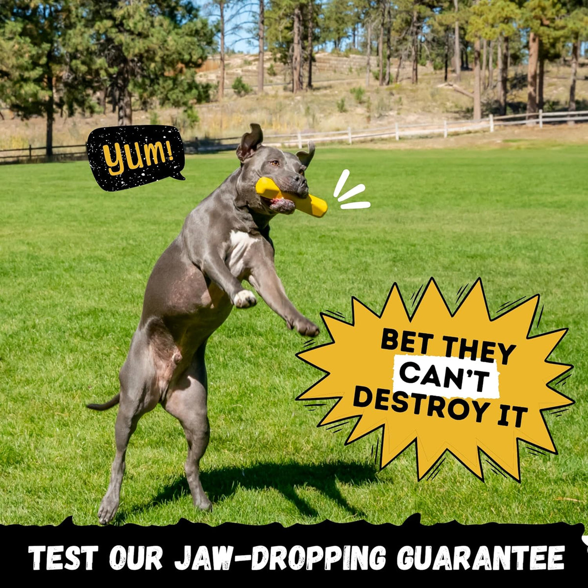 Indestructible Stick Dog Toy - Lifetime Replacement - Durable Chew Toy for Aggressive Chewers - Safe Non-Toxic Natural Rubber - Chew Tug & Fetch - Tough, Heavy Duty - Med/Large Breed, 8”x2”