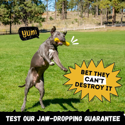 Indestructible Stick Dog Toy - Lifetime Replacement - Durable Chew Toy for Aggressive Chewers - Safe Non-Toxic Natural Rubber - Chew Tug & Fetch - Tough, Heavy Duty - Med/Large Breed, 8”x2”