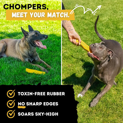 Indestructible Stick Dog Toy - Lifetime Replacement - Durable Chew Toy for Aggressive Chewers - Safe Non-Toxic Natural Rubber - Chew Tug & Fetch - Tough, Heavy Duty - Med/Large Breed, 8”x2”