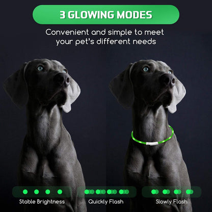 5 pcs Light up Dog Collars USB Rechargeable Dog, 3 Light Modes