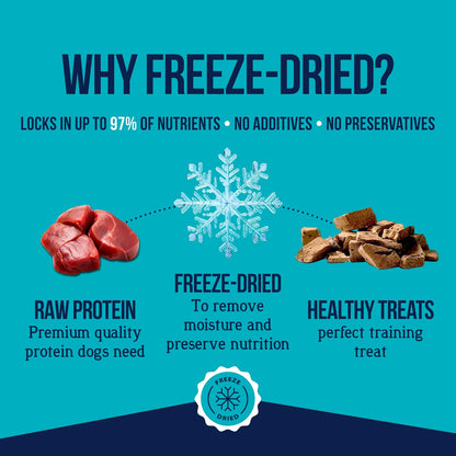 Freeze Dried Dog Treats, 100% Beef Liver, 21 oz Tub