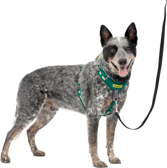 Easy Walk Comfort No Pull Dog Harness, Green, Medium