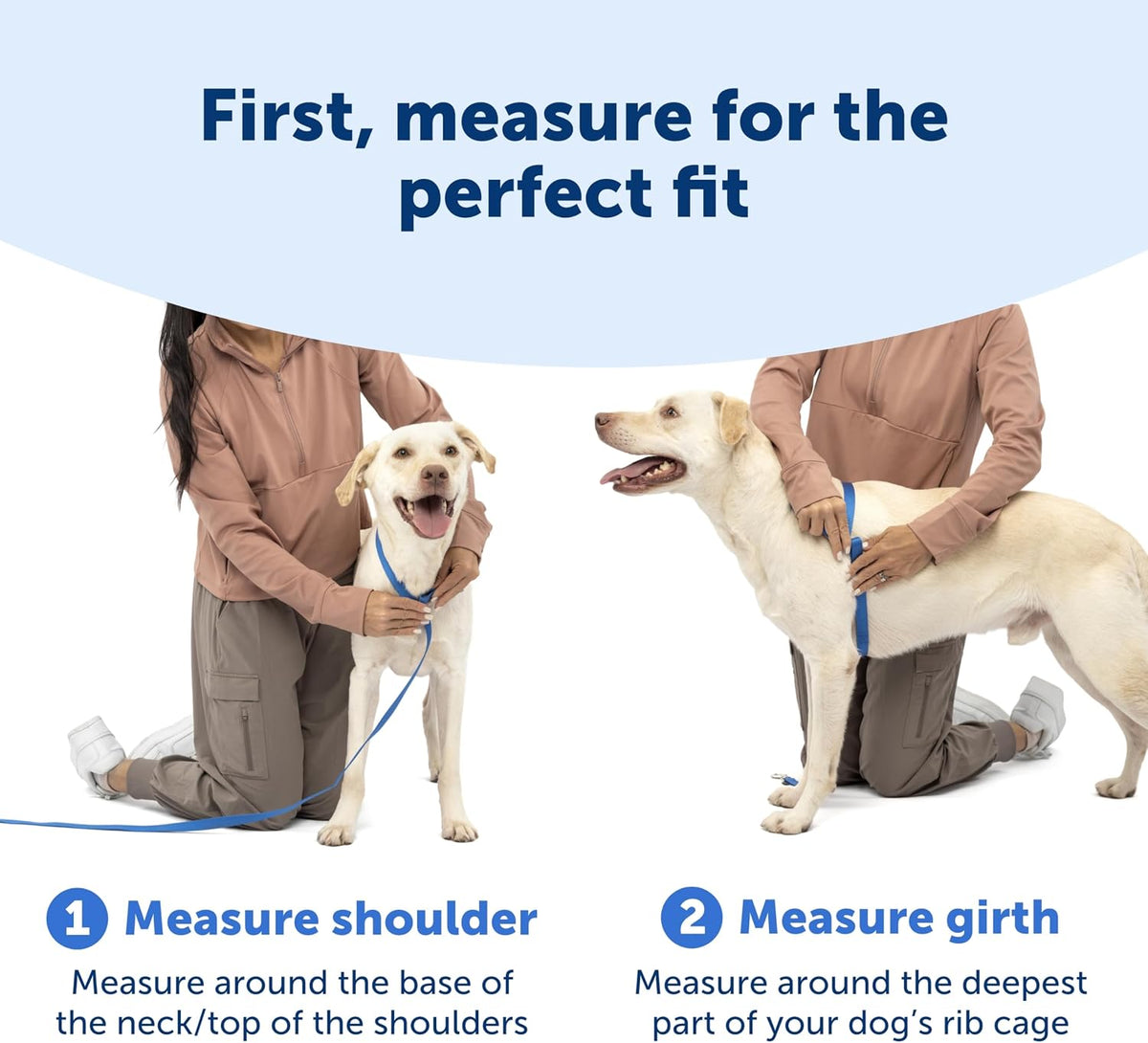 Easy Walk Comfort No Pull Dog Harness, Green, Medium