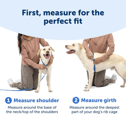 Easy Walk Comfort No Pull Dog Harness, Green, Medium