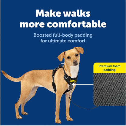 Easy Walk Comfort No Pull Dog Harness, Green, Medium