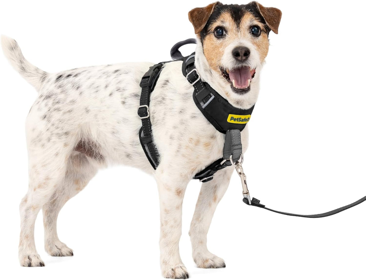 Easy Walk Comfort No Pull Dog Harness, Green, Medium