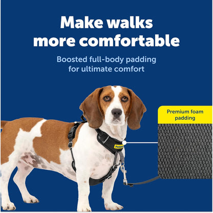 Easy Walk Comfort No Pull Dog Harness, Green, Medium
