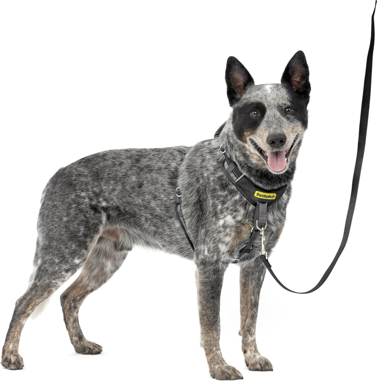 Easy Walk Comfort No Pull Dog Harness, Green, Medium