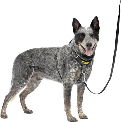 Easy Walk Comfort No Pull Dog Harness, Green, Medium