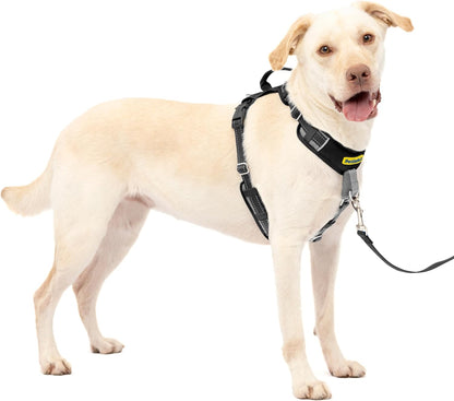 Easy Walk Comfort No Pull Dog Harness, Green, Medium